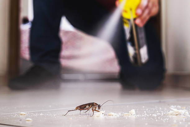 Best Spider Control Near Me  in Ramtown, NJ